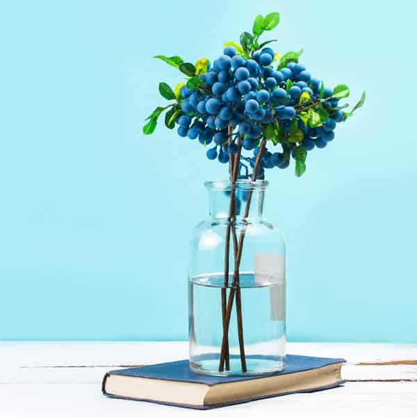 Florero con libro
